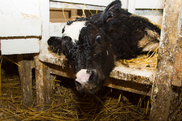 Similar image 6299764