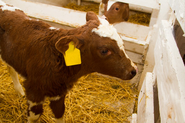 Similar image 6299765