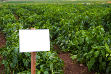 Similar image 6299767