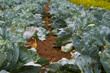 Similar image 6299768