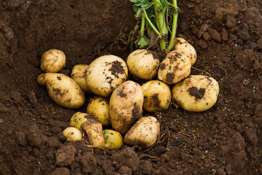 Similar image 6299770