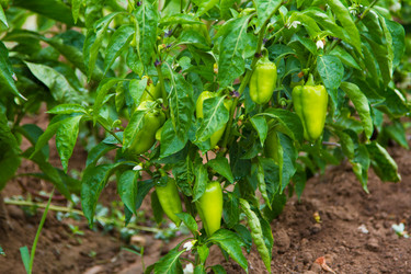 Similar image 6299771