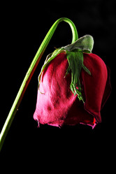 Similar image 6299786