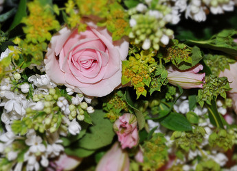 Similar image 6299830