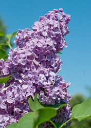 Similar image 6299831