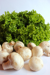 Similar image 6299856