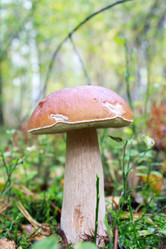 Similar image 6299857