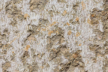 Similar image 6299939