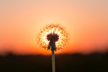 Similar image 6300013