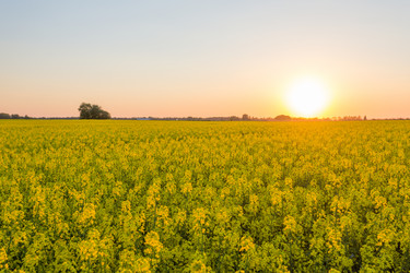 Similar image 6300014