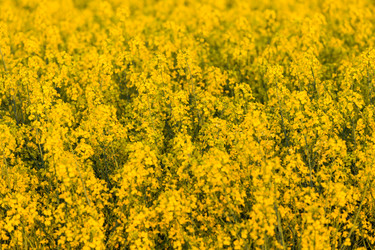 Similar image 6300016