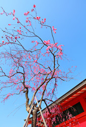 Similar image 6300041