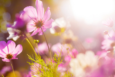 Similar image 6300045