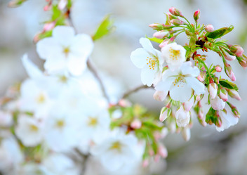 Similar image 6300052