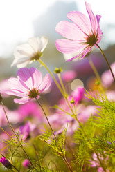 Similar image 6300056