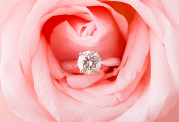 Similar image 6300113