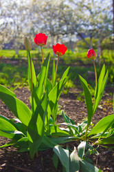 Similar image 6300175