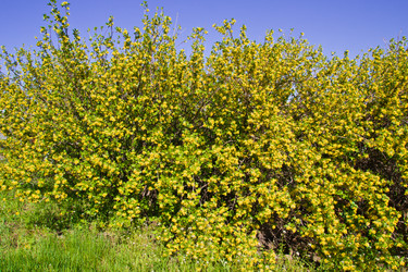 Similar image 6300176