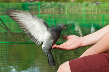 Similar image 6300177