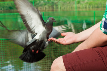 Similar image 6300178