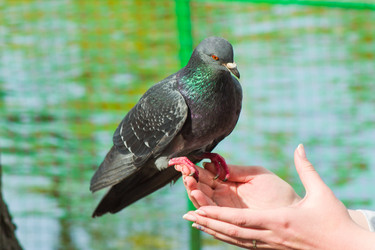 Similar image 6300179