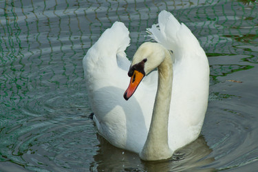 Similar image 6300180