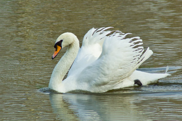 Similar image 6300182