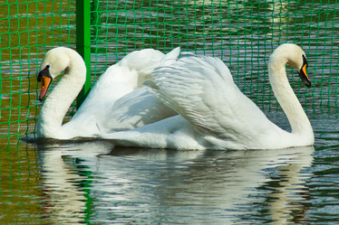 Similar image 6300183