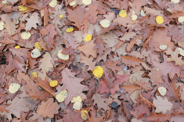 Similar image 6300204