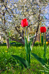 Similar image 6300210