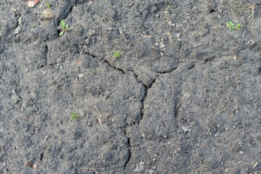 Similar image 6300279