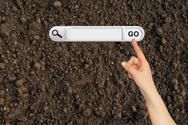 Similar image 6300285