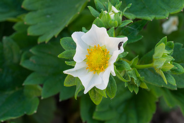 Similar image 6300674