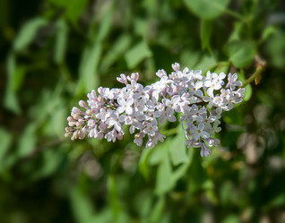 Similar image 6300679