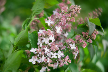 Similar image 6300684