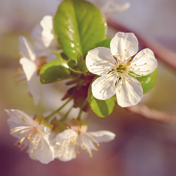 Similar image 6300727