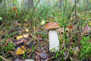 Similar image 6300788