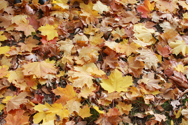 Similar image 6301134