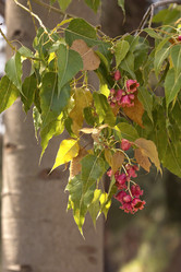 Similar image 6301139