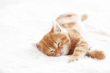 Similar image 6301391