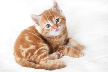 Similar image 6301393