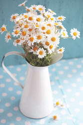 Similar image 6301404