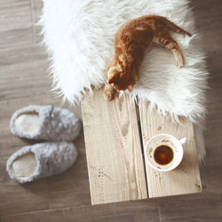 Similar image 6301409