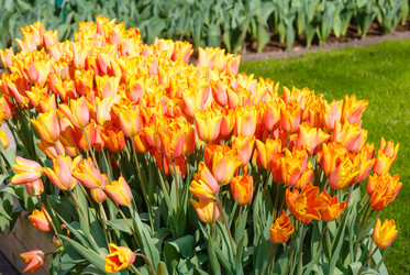 Similar image 6301591