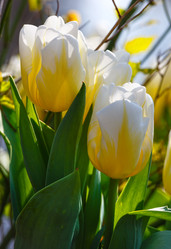 Similar image 6301597