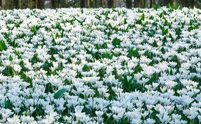 Similar image 6301602