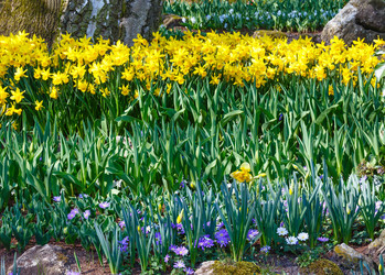 Similar image 6301610