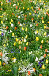 Similar image 6301623