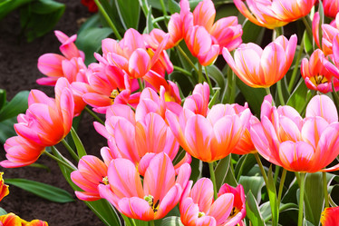 Similar image 6301643