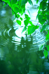 Similar image 6301657